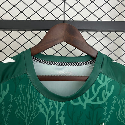 Camiseta Real Betis Edición Especial Verde 2025/26 Versión Fan