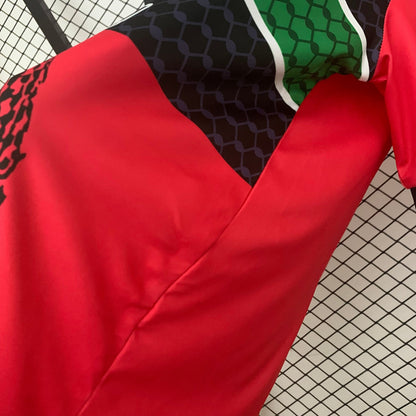 Palestino 2025/26 Versión Fan