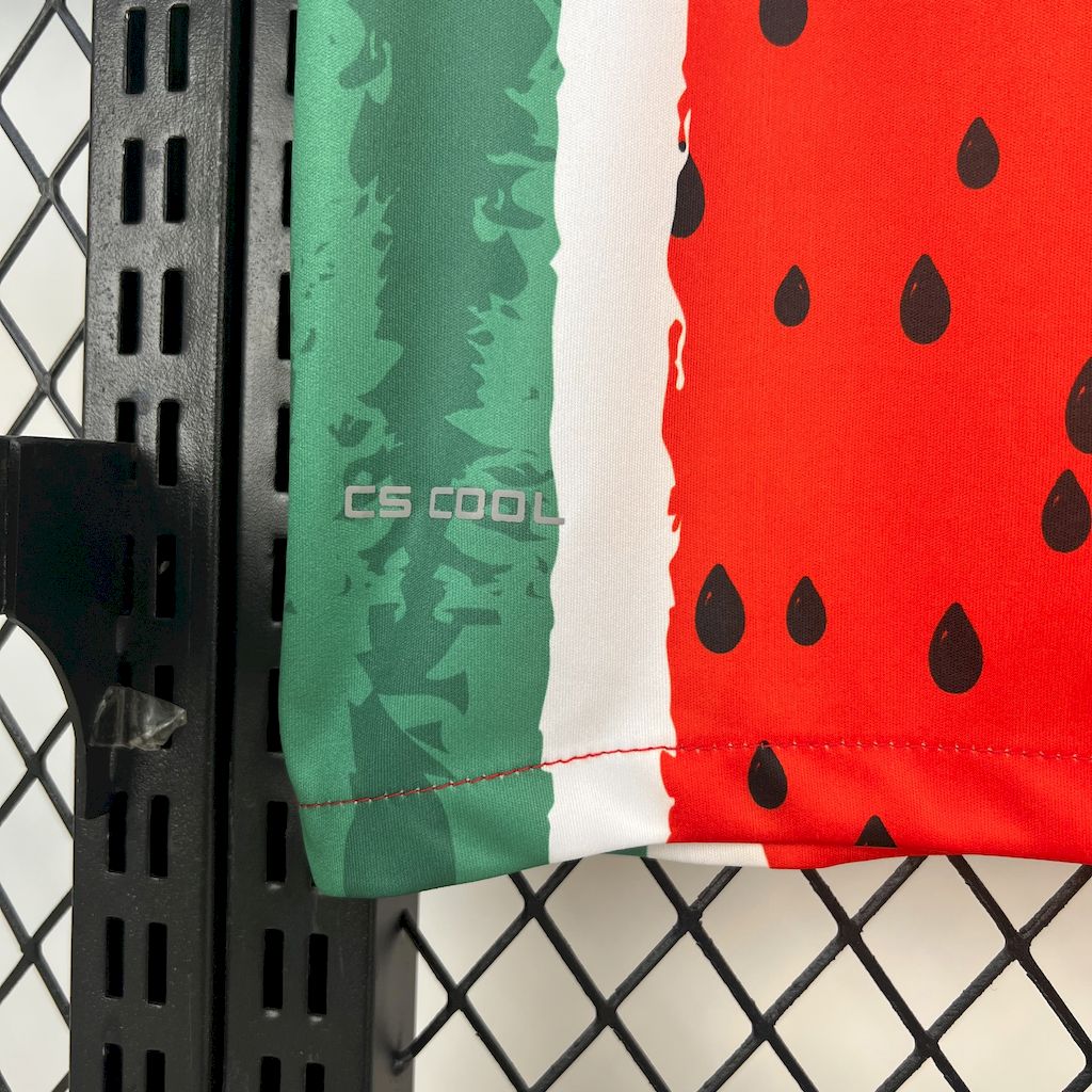 Palestino Cuarta 2025/26 Versión Fan