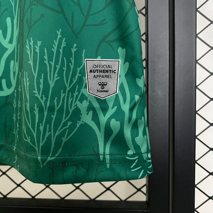 Camiseta Real Betis Edición Especial Verde 2025/26 Versión Fan