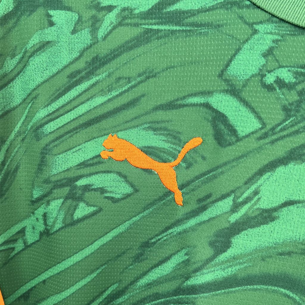 Camiseta Borussia Dortmund Portero Verde 2025/26 Versión Fan