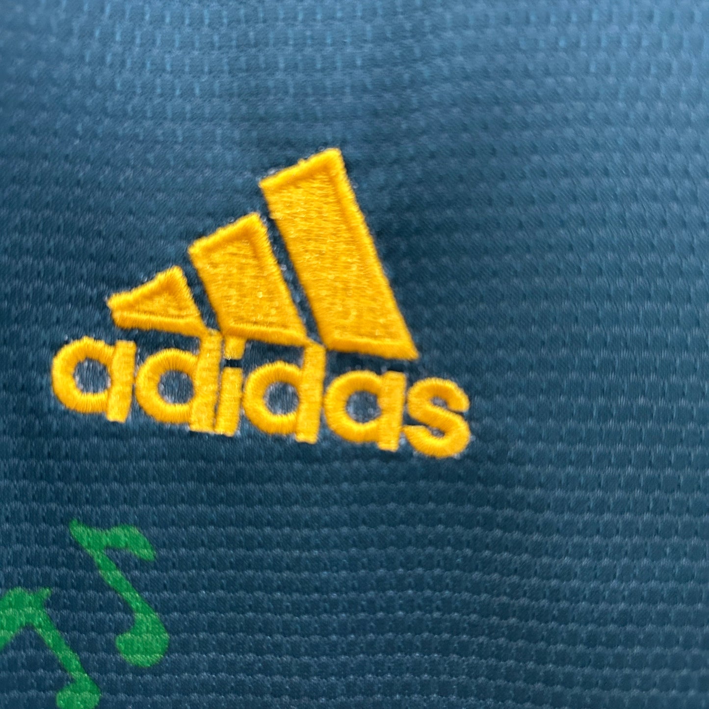 Ajax Edición Especial "Bob Marley Verde" 2025/26 Versión Fan