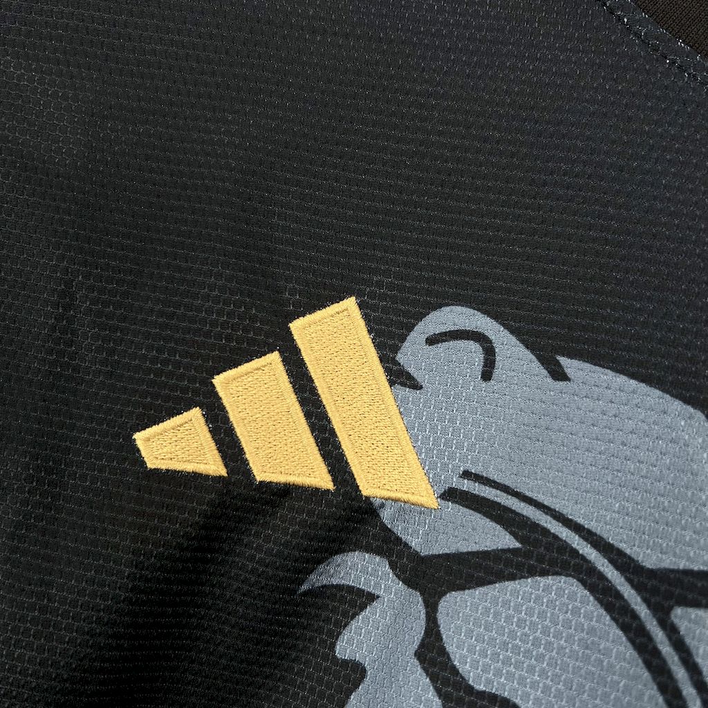 Camiseta Aston Villa Dragon 2025/26 Versión Fan