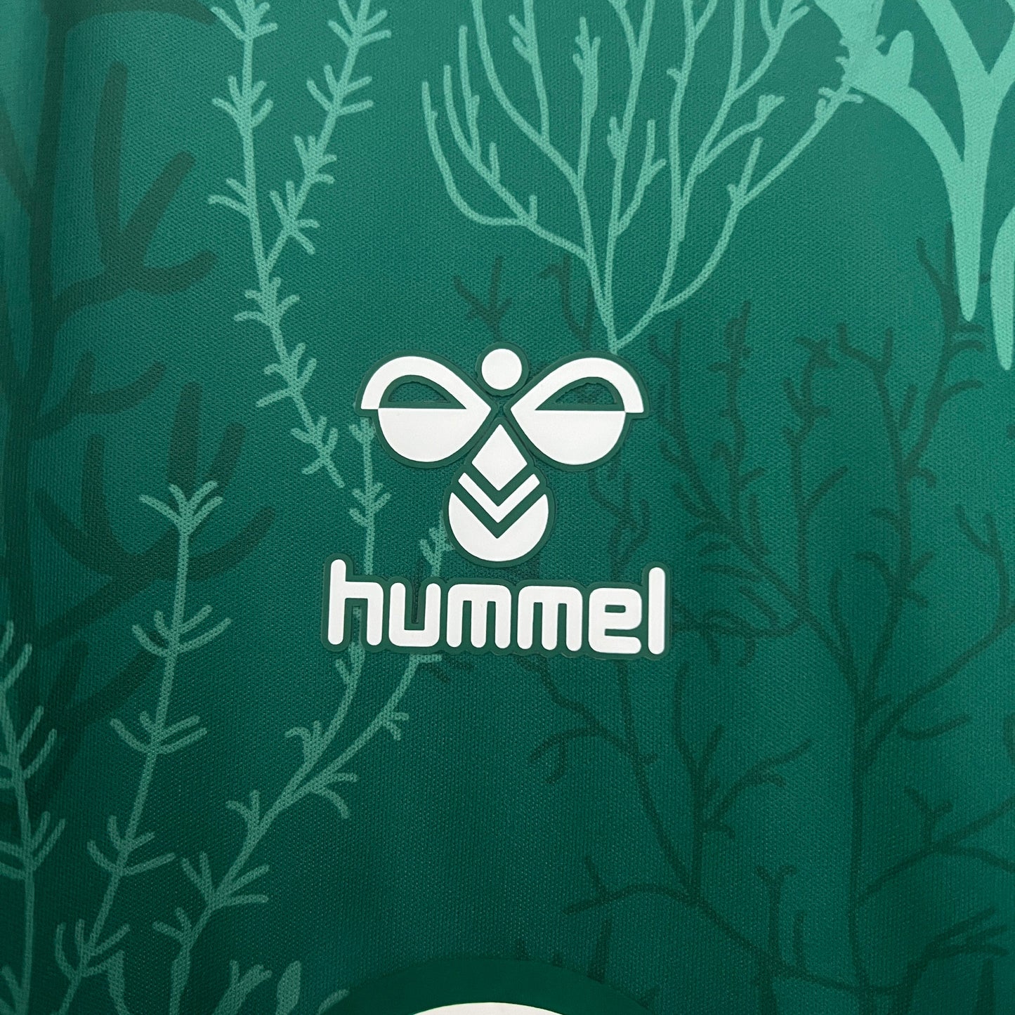 Camiseta Real Betis Edición Especial Verde 2025/26 Versión Fan