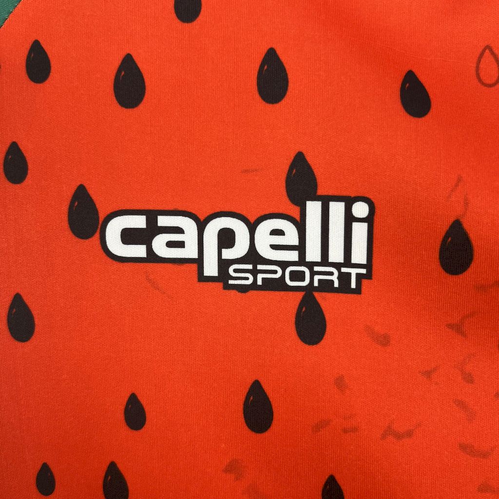 Palestino Cuarta 2025/26 Versión Fan