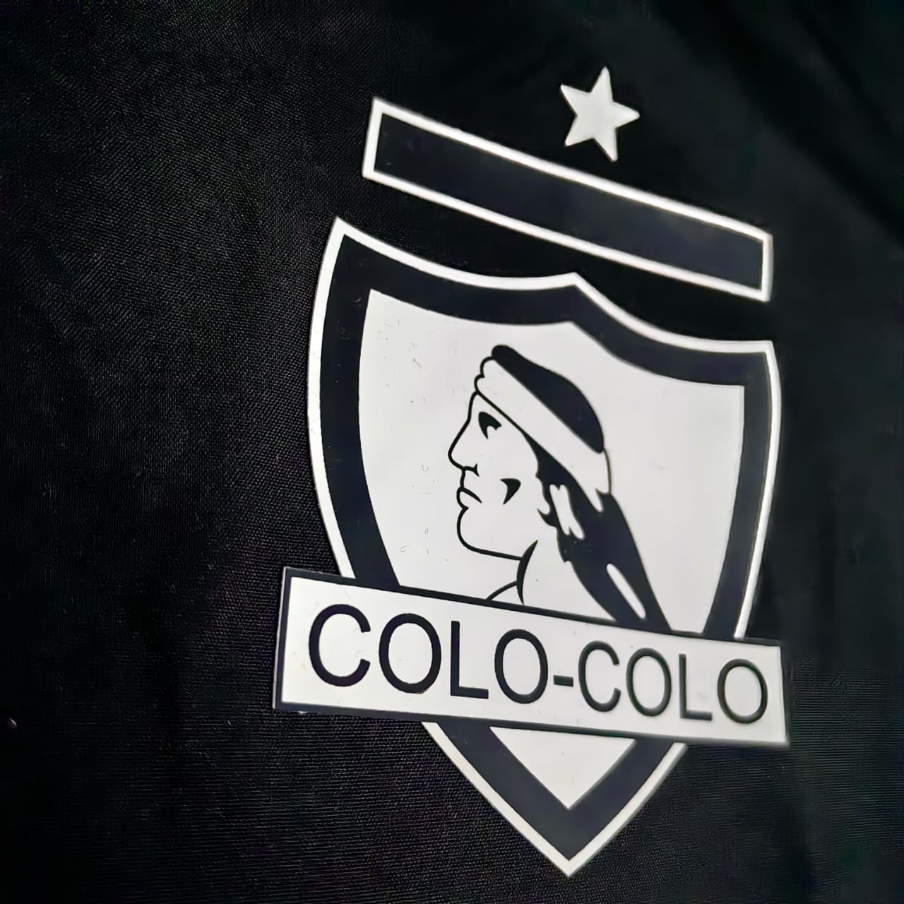 Colo Colo Cortavientos Morado y Negro 2025