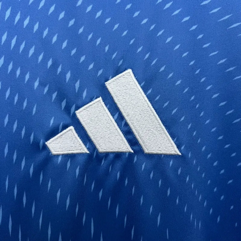 Camiseta Real Madrid Edición Especial Celeste 2025/26 Versión Fan