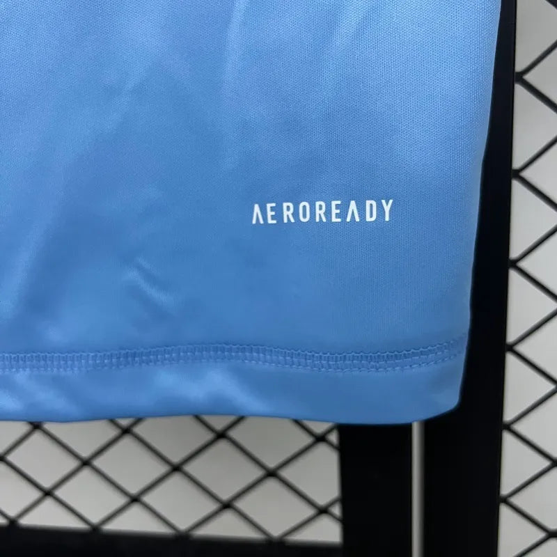 Camiseta Real Madrid Edición Especial Celeste 2025/26 Versión Fan