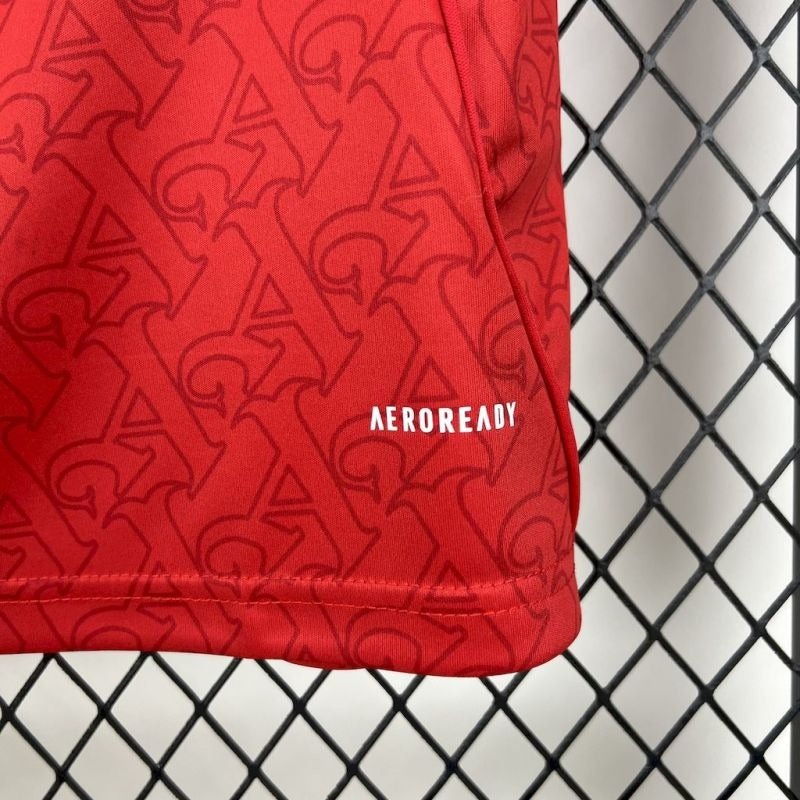 Camiseta Arsenal Edición Local 2025/26 Versión Fan